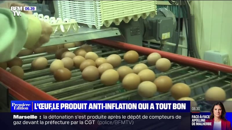 Pas épargnés par l'inflation, les oeufs restent prisés par les Français