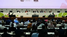 Une session plénière de la COP30 à Bélem, au Brésil, le 21 novembre 2025.