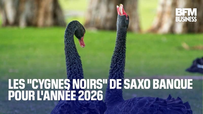 Les "cygnes noirs" de Saxo Banque pour l'année 2026