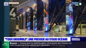 "Tous ensemble", une fresque inaugurée au stade Océane du Havre 