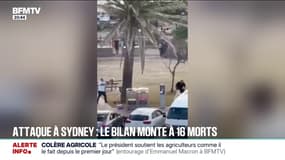 Fusillade à Sydney: le bilan provisoire s'alourdit à au moins 16 morts et 40 blessés