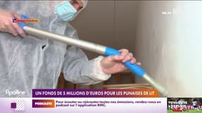 Un fonds de 5 millions d'euros pour les punaises de lit