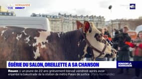 Normandie: un groupe de rock dédie une chanson à Oreillette, égérie du Salon de l'Agriculture