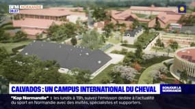 Calvados: la première pierre du Campus international du cheval posée