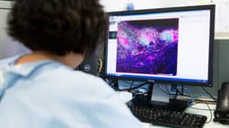 Transgene annonce des résultats positifs 