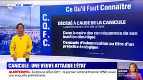 Canicule: une veuve attaque l'État en justice pour "inaction climatique"