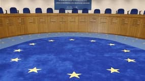 Un couple d'homosexuelles françaises a contesté mardi devant la Cour européenne des droits de l'homme (CEDH) l'impossibilité pour l'une d'adopter l'enfant de l'autre quelles élèvent pourtant conjointement. Les juridictions françaises ont reconnu qu'elles