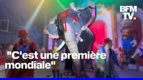 "C'est une première mondiale": dans ce cirque, un robot éléphant fait sensation auprès du public