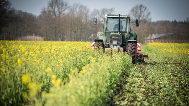 L'objectif officiel est d'avoir 15% de la surface utile agricole totale en bio fin 2022