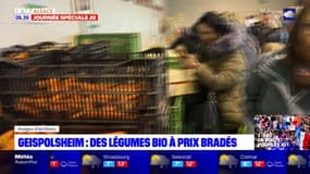 Geispolsheim: un nouveau déstockage de légumes bio dimanche