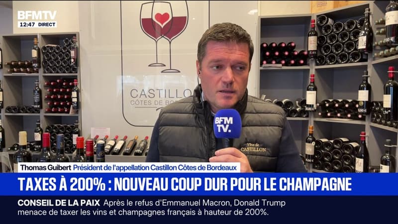 Taxes à 200% sur le vin: "La survie de nos entreprises est clairement menacée", déplore Thomas Guibert, président de l'appellation Castillon Côtes de Bordeaux