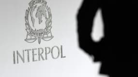 Le montant des saisies effectuées par Interpol s'élève à 6,40 millions d'euros.