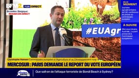 Dermatose: l'Europe veut aider les États membres à "mettre cela sous contrôle"