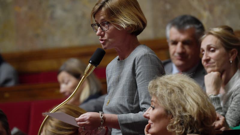 La députée de la majorité Agnès Firmin-Le Bodo à l'Assemblée nationale, en avril 2019