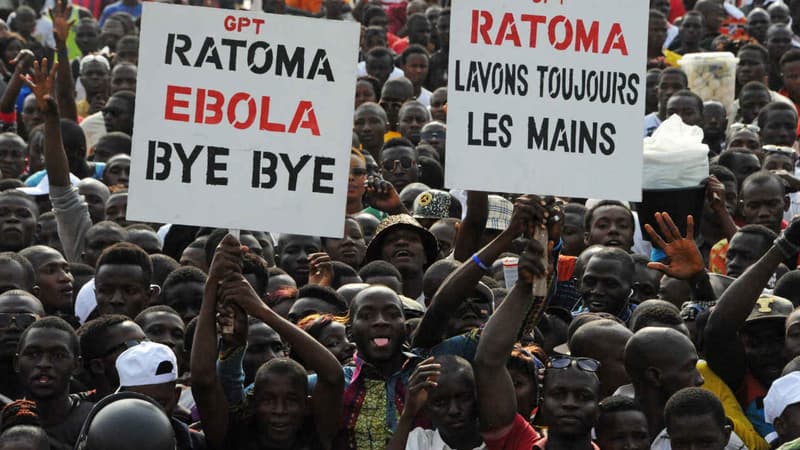 Les acclamations de la foule lors du concert "Bye bye, Au revoir Ebola", organisé à Conakry le 30 décembre 2015. (Photo d'illustration) 