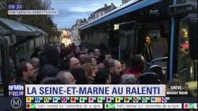 En l'absence de trains, les bus pris d'assaut à Fontainebleau