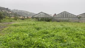 Un terrain de la plaine du Var, dans les Alpes-Maritimes. 