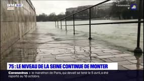 Crue : le niveau de la Seine continue de monter 