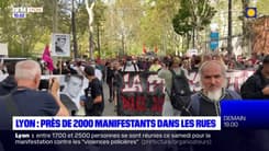 Lyon: près de 2000 manifestants dans les rues 