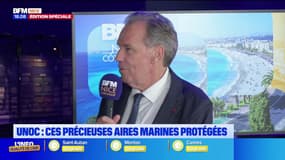 Unoc: un sommet crucial pour l'avenir de l'océan