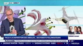 Culture Geek : Face à la disparition des abeilles... des robots pollinisateurs, par Anthony Morel - 27/04