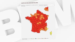 La carte de France de vigilance des pollens
