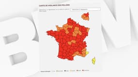 La carte de France de vigilance des pollens