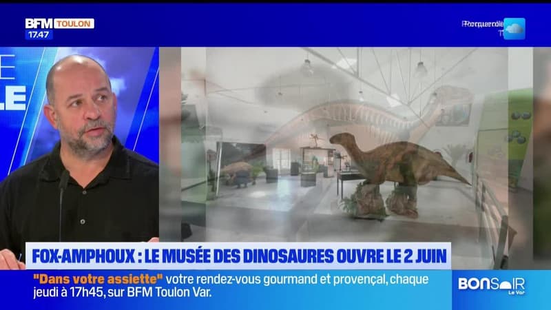 Planète locale du mercredi 12 février - Fox-Amphoux : le musée des dinosaures ouvre le 2 juin