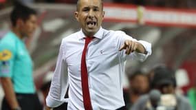Leonardo Jardim