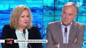Le Grand Oral de Sophie Montel, eurodéputée Front national - 20/07