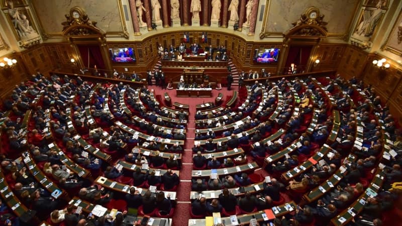 Le texte a été voté à main levée avec le soutien de la majorité sénatoriale (LR, centristes, Indépendants) et du groupe LREM. (image d'illustration)