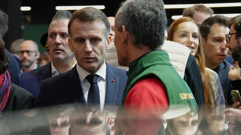 Céréales ukrainiennes, ingérence russe et faux médias: le Salon de l'Agriculture n'échappe pas à la guerre de la désinformation