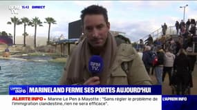 Fermeture du parc de Marineland: l'émotion des spectateurs et des dresseurs