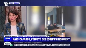 Story 3 : Rats, cafards, vétusté, des écoles s'indignent - 08/03