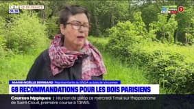 Bois de Paris: des élus remettent une liste de 68 recommendations pour préserver les bois de Boulogne et de Vincennes