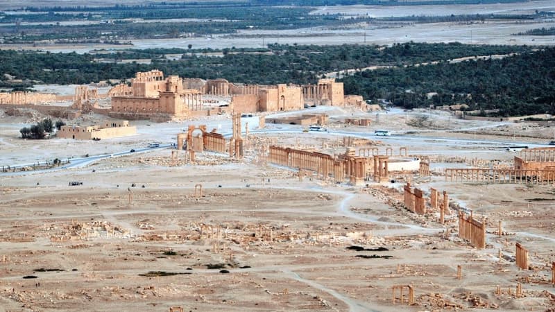 L'armée syrienne reprend à Daesh la citadelle de Palmyre - Vendredi 25 mars 2016