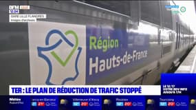 TER dans les Hauts-de-France: le plan de suppression reporté par la SNCF