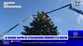 Strasbourg: le démontage du grand sapin de Noël a débuté