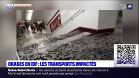 Orages en Île-de-France: la galère des usagers dans les transports en commun