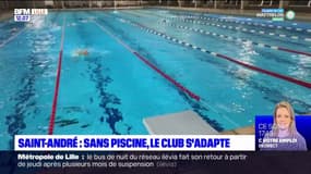 Lille: depuis la fermeture de la piscine de Saint-André, le club s'adapte