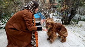 Une Iranienne joue avec son chien, le 5 décembre 2021 à Téhéran