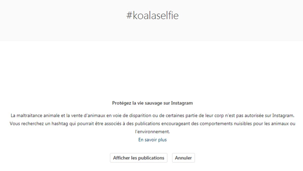 La recherche #Koalaselfie conduit directement à l'avertissement. La recherche #Koalaselfie conduit directement à l'avertissement.