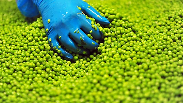 Géant Vert passe chez B&G Foods.