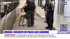 Nice: opération de police aux Liserons après une fête de quartier organisée par des dealers