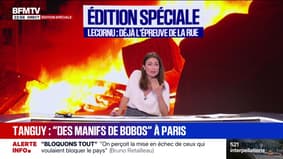 Crise économique: "Si à un moment ou un autre, il faut qu'on fasse un effort, on le fera", déclare Geoffroy Roux de Bézieux, ancien président du MEDEF