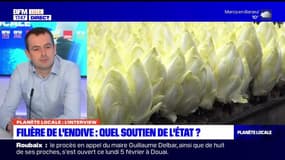 Planète Locale du lundi 5 février - Filière de l'endive, quel soutien de l'État ?