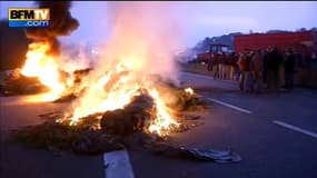 Bretagne: les éleveurs de porc toujours mobilisés contre les prix bas