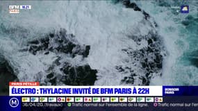 Paris Pétille: Thylacine invité de BFM Paris à 22h