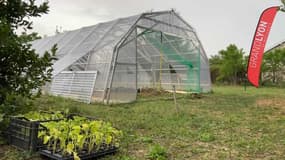 Une première ferme semencière a été inaugurée à Charly.