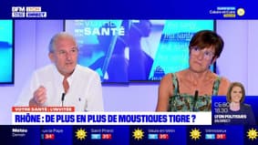 Votre Santé  : Rhône: de plus en plus de moustiques tigre ?